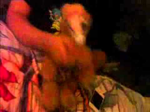 Youmacon 2012 Silver Style - Eurobeat Bear