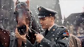 I'm Dreaming of a Blue Christmas - NEW!! ELVIS INDIE STYLE!!!