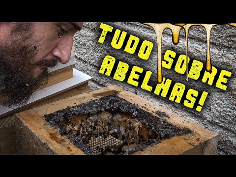 , title : 'Como criar abelhas sem ferrão! - Chácara SV'