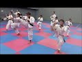 Ren Geri