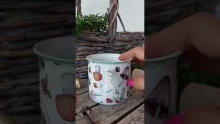TINA hrnek 380 ml, houby, Český porcelán Dubí