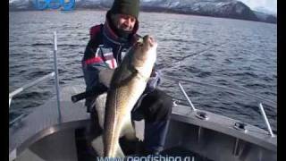 preview picture of video 'Морская рыбалка в Норвегии!'