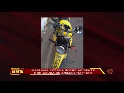 Coronel Pacheco: Mais uma pessoa sofre acidente por causa de animais soltos na pista