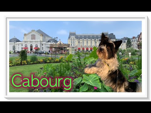 🇫🇷 Cabourg - Calvados - Mit Wohnmobil und Hund in die schönsten Orte der Normandie - Sommer 2021 de