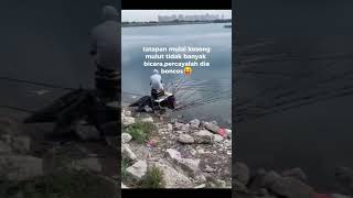 Download lagu story wa mancing 30 detik #hobimancing #mancing #setatuswa30detik #ll #shorts #shortvideo #trending mp3