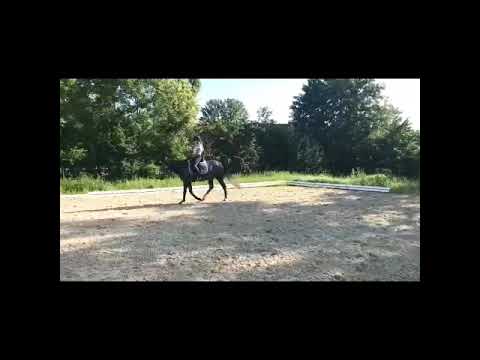 Sietlands Quizmaster