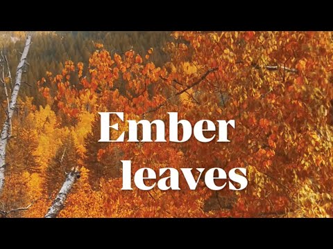 Chasing Fall Colours Through British Columbia #music #fallcolors #travelbc