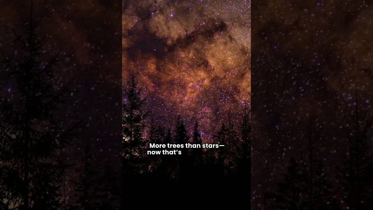 Interesting Facts About Geography - There are more trees on Earth than stars in the Milky Way galaxy.