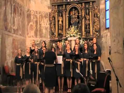 Zbor mladih župe Lobor - Moja misli