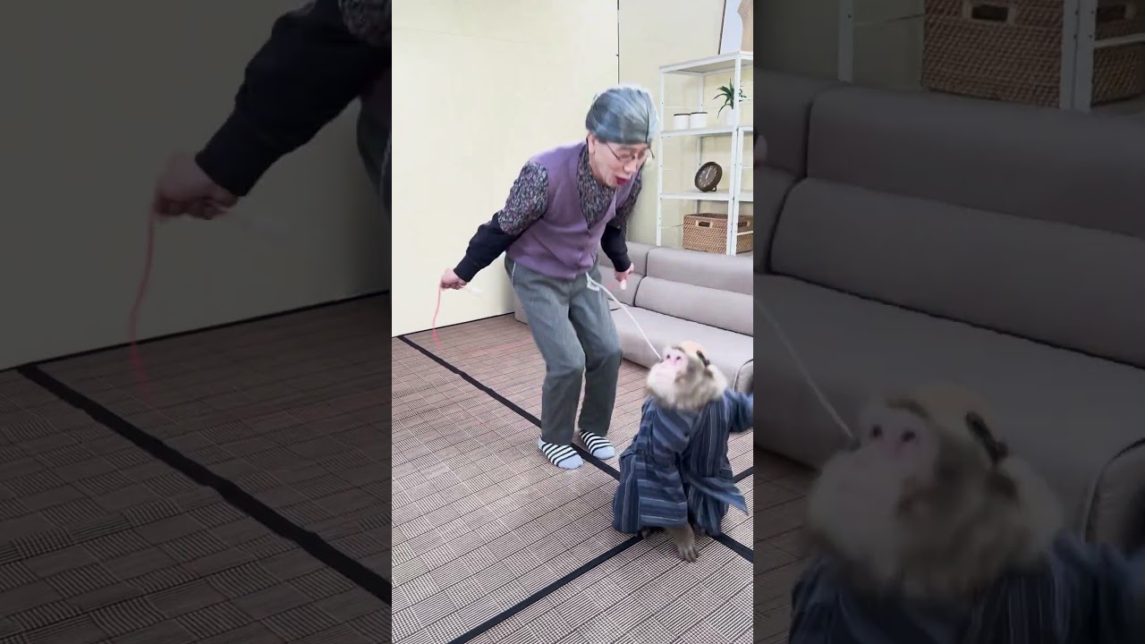 【おさる家】何回跳べるかな？？　 #おさるランド&アニタウン #おさるランド #日光さる軍団 #おさる家 #ドラマ #サル #ニホンザル #さる #monkey