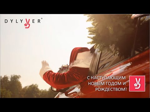 Финальная встреча с партнерами компании Dylyver | Итоги 2020 года | 29/12/2020