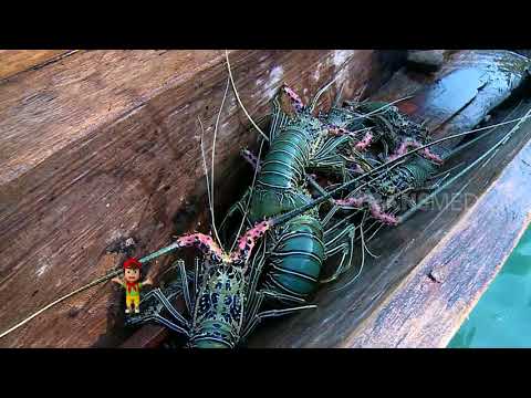 BOCAH PETUALANG | CERITA ANAK BUMI ANDALAS DAN CELEBES (05/09/18) 2-3