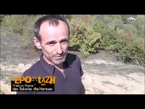 HD REPORTAZH VELCAN GORE MES BUKURISE DHE HARRESES