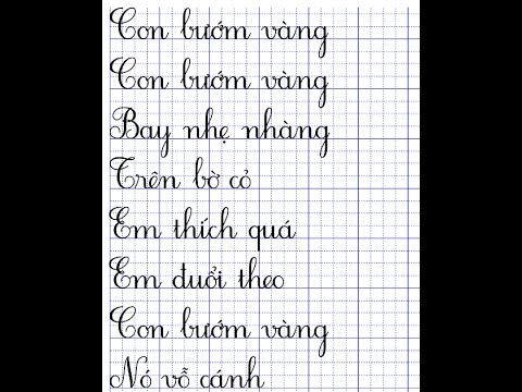 Letters typography Vietnamese Video