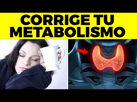 Esta Es La Verdadera Causa del METABOLISMO LENTO -  Acelera Tu Metabolismo Con Esto