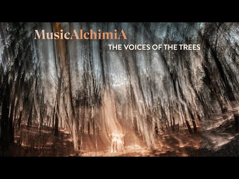 MusicAlchimiA - The Voices of the Trees [official music video]