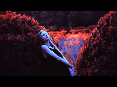 Lokoh x Dismal Mood - Plastic Dreams