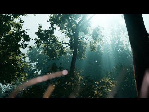 Unreal Engine Devlog 4 Gameplay