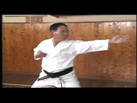 Motobu - Naihanchi Application 1