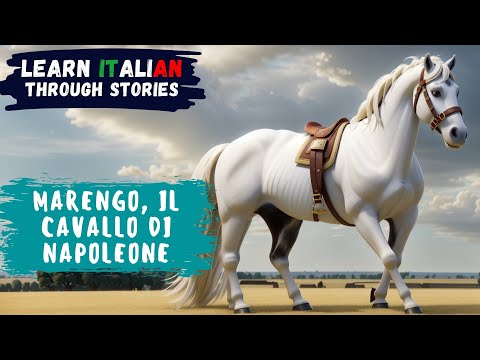 Learn Italian Through Stories | Marengo, il cavallo di Napoleone 🐎 | Beginner Level ⭐
