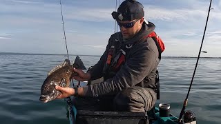 Good Tautog Fishing Continues