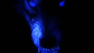 Motorhead Serial Killer.wmv