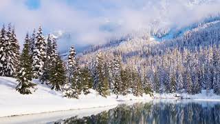 The Way You Look Tonight