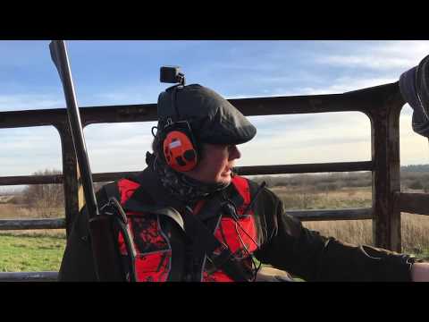 Hunting in Ustka, Poland, 2017