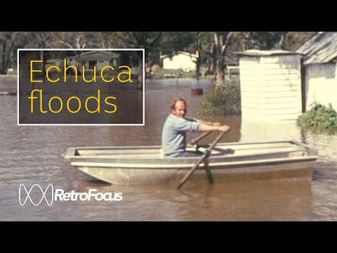 Pets rescued and locals rally in flooded Echuca (1973) RetroFocus ABC Australia