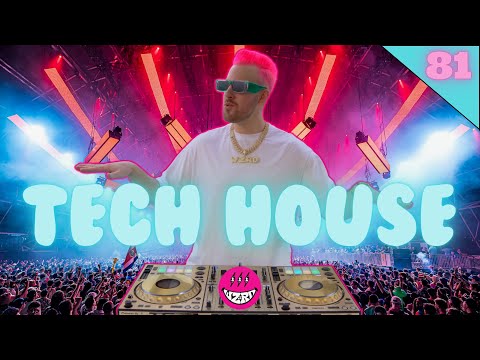 Tech House Mix 2024 | #81 | James Hype, Tita Lau, Acraze | Best of Tech House 2024 by DJ WZRD