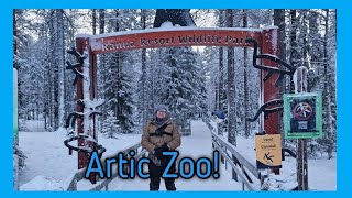 My 1st Visit to an Artic Zoo! Finland 🇫🇮