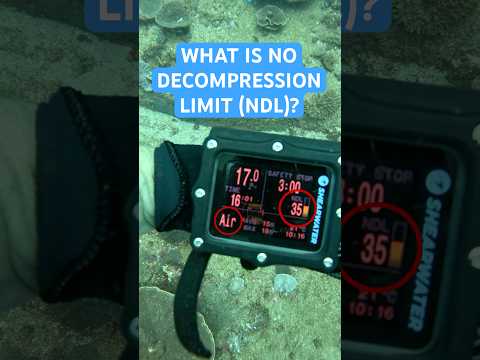 The Truth About No Decompression Limits