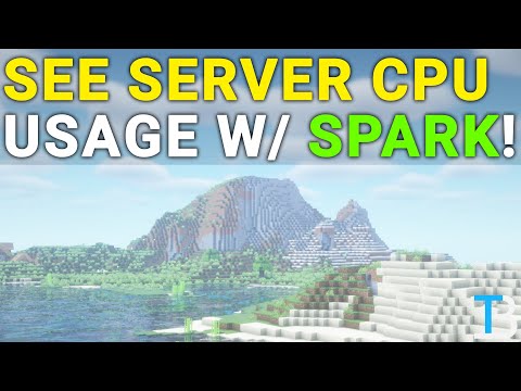 Ultimate CPU Usage Hack for Minecraft Servers!
