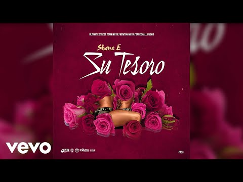 Shane E - Su Tesoro (Official Audio)