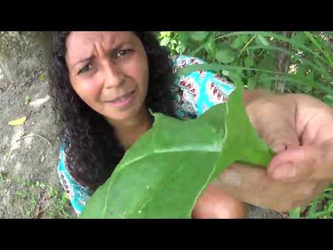 download lagu mp3 mp4 Alessandra Santos, download lagu Alessandra Santos gratis, unduh video klip Alessandra Santos