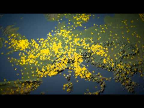 HungaroControl corporate video