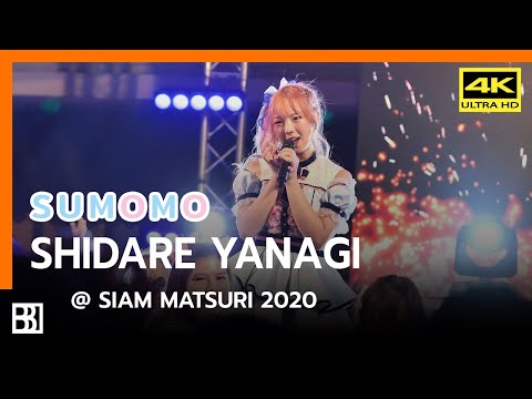 201115 SUMOMO - Shidare Yanagi (Kita Focus) @ Siam Matsuri [Fancam 4k60p]