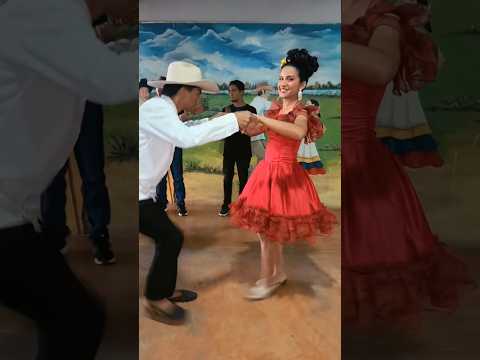 En San Fernando de apure el joropo de baila así 🥰✨🤠 #llano #joropo #venezuela #parati