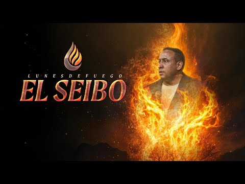 ¡Así se vivió la noche más impactante en El Seibo! PASTOR JUAN CARLOS HARRIGAN
