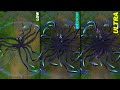 Zyra Coven Low to Ultra Graphics Effects Comparison Wildrift