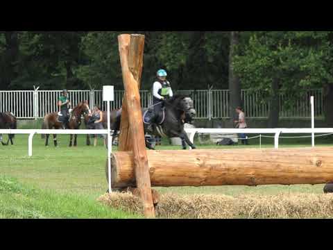 Pardubická všestrannost Joey Z (90)