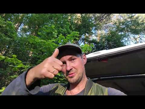 Пчеловодство. Роеловство. Начинающим пчеловодам. Поимка бродячего роя от А до Я.