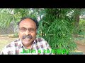 சவுல் ஏன் இந்த நிலை சூனியக்காரி கூப்�