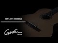 Godin Nylon Series