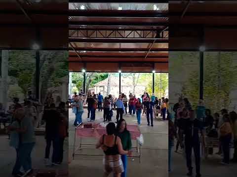 feira da roça passa vinte Mg