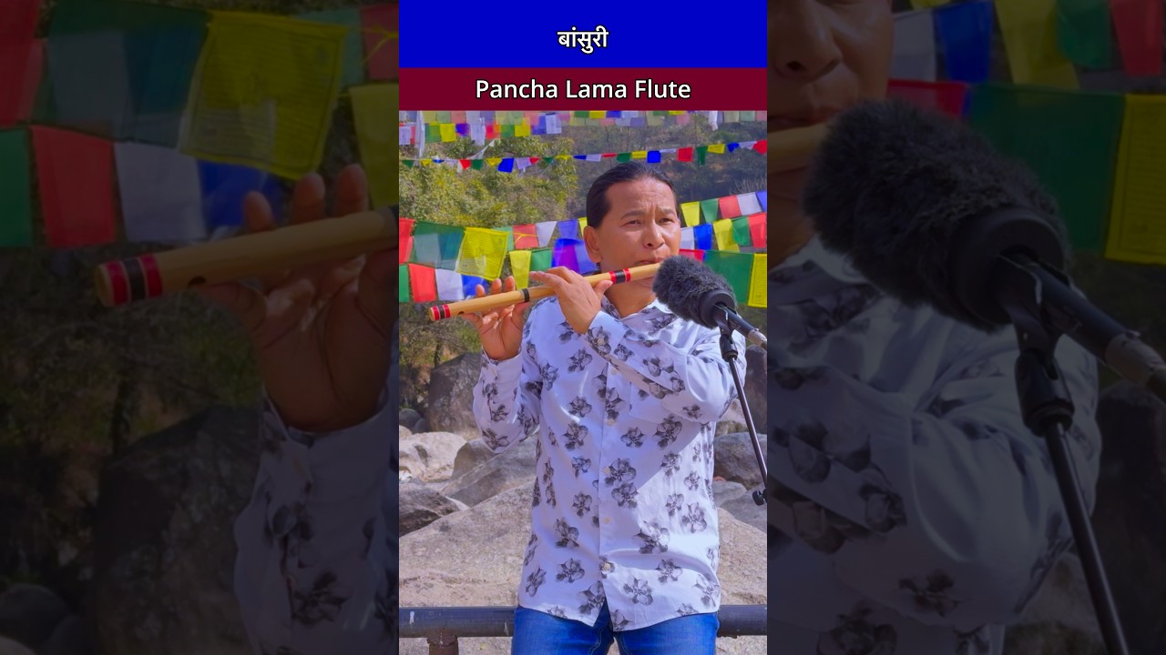 Morning Flute Music | Bansuridhun | Bird Sound With Nature | Instrumental #flute #flutemusic #shorts