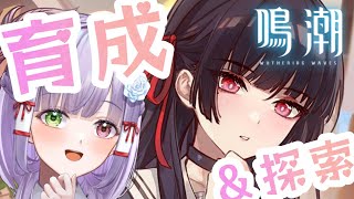 【#鳴潮】一旦落ち着こう、情報量が多すぎる～！初心者まったり初見 #vtuber