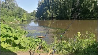 Ловля рыбы в осиповичах