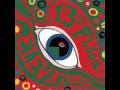 13th Floor Elevators - Don't Fall Down