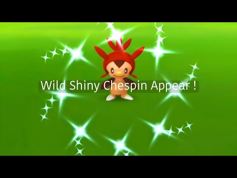 Finally!! 🤩 New Shiny Chespin Community Day in Pokemon Go